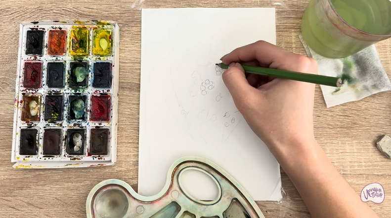 Рисуем Тис ягодный