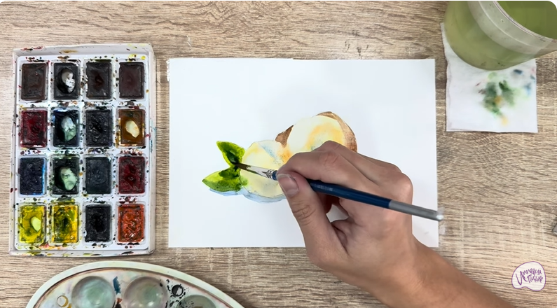 Рисуем Макадамия