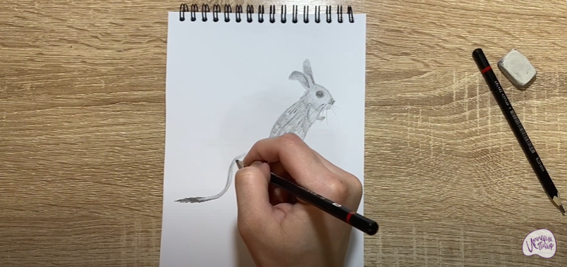 Рисуем Тушканчик