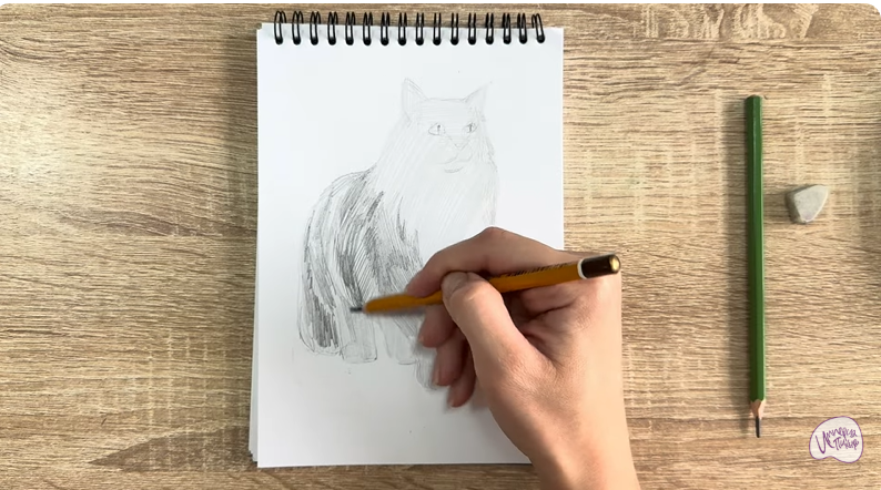 Рисуем Норвежский лесной кот