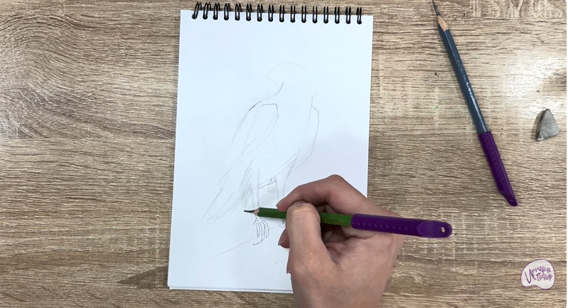 Рисуем Хохлатый осоед