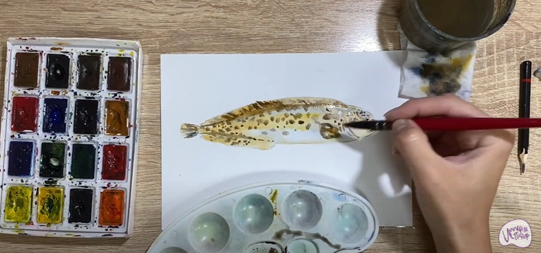 Рисуем Зубатка пёстрая