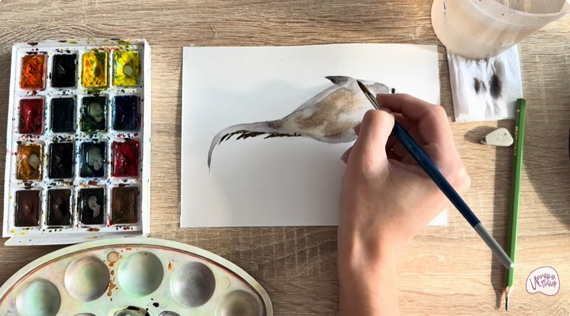 Рисуем Макрурус