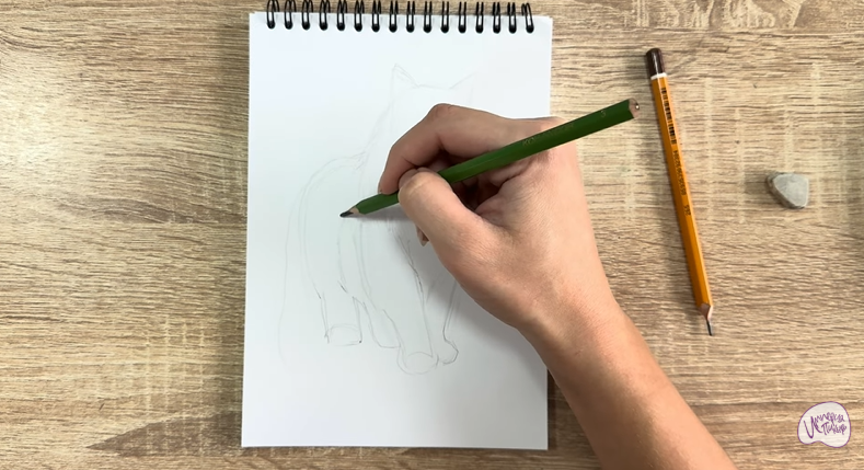 Рисуем Норвежский лесной кот