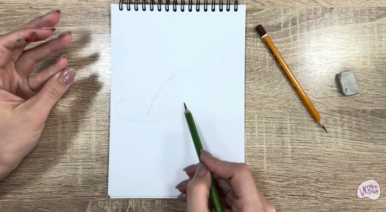 Рисуем Кот породы "Корат"