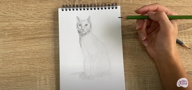 Рисуем Турецкая ангора