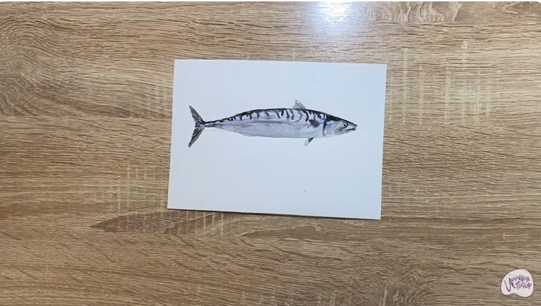 Рисуем Скумбрия