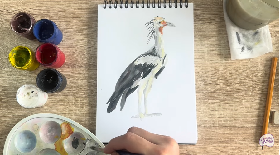 Рисуем Птица "секретарь"