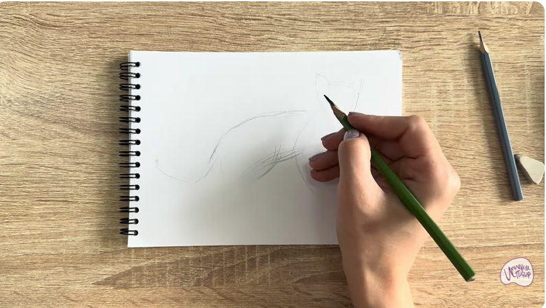 Рисуем Бомбейская кошка