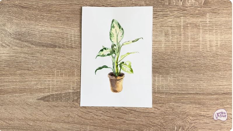 Рисуем Диффенбахия в горшке