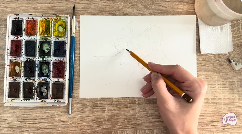 Рисуем Алтей лекарственный