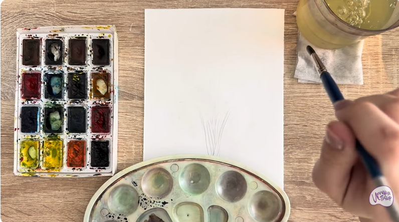 Рисуем Багрянник японский