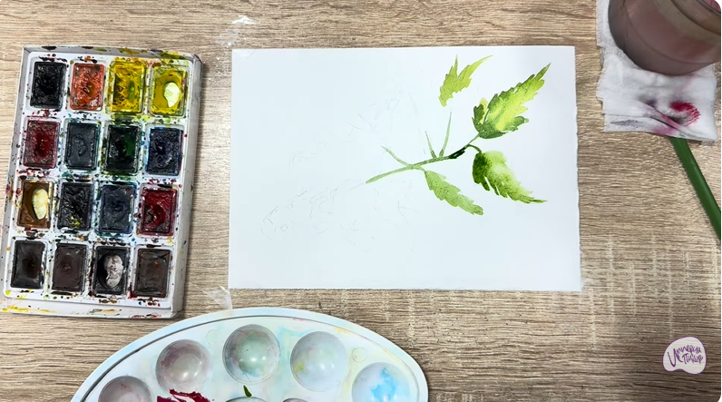 Рисуем Таволга