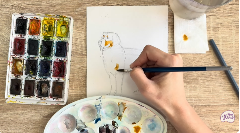 Рисуем Собака породы Бернский зенненхунд