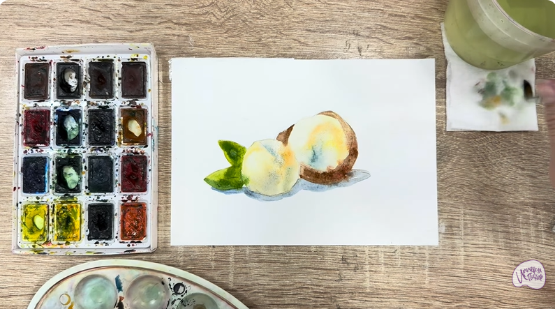 Рисуем Макадамия