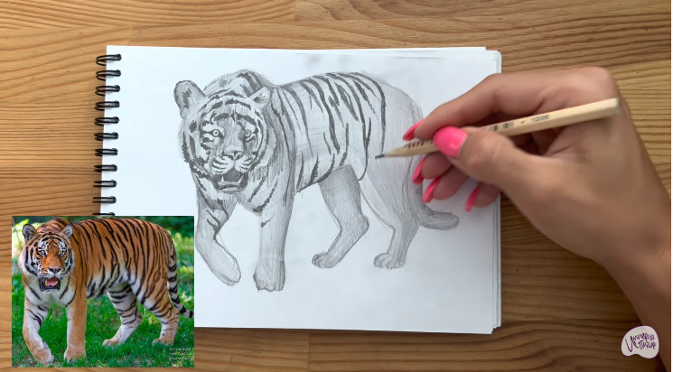 Рисуем Тигр