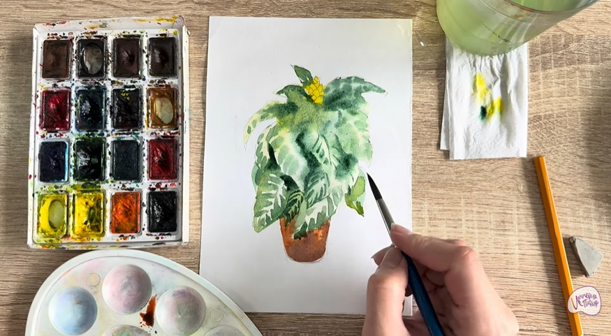Рисуем Афеландра в горшке