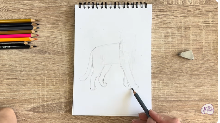 Рисуем Кошка Бурмилла