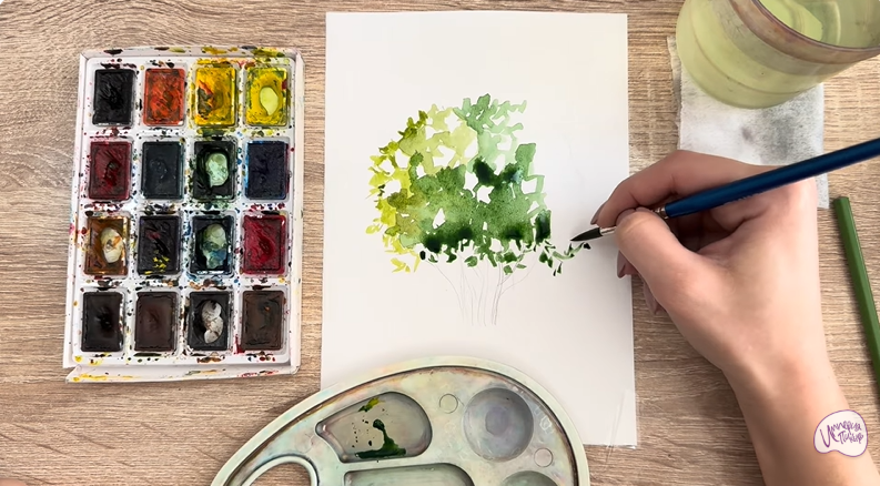 Рисуем Саженец бирючины