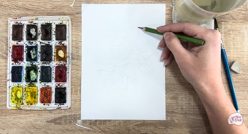 Рисуем Платицериум в горшке