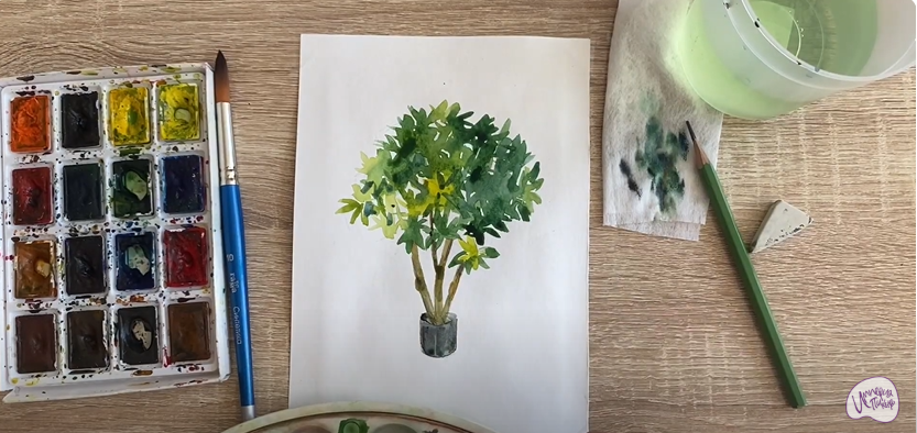 Рисуем Бересклет