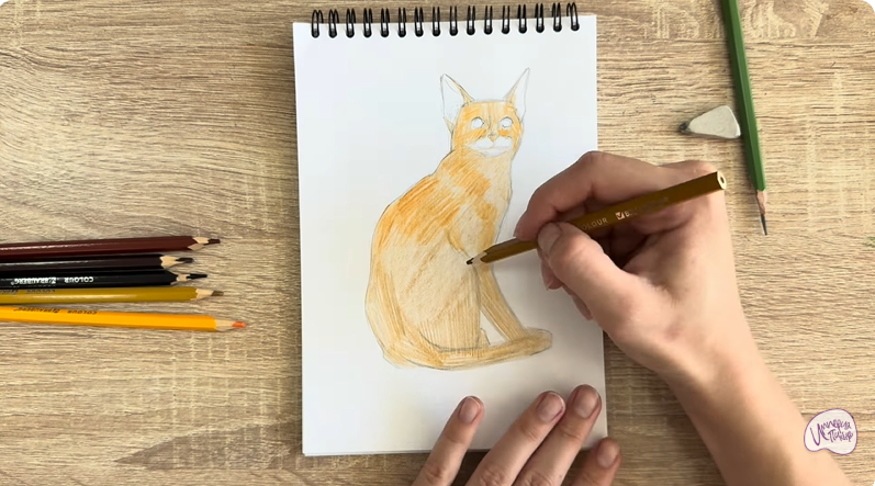 Рисуем Кошка Тойгер