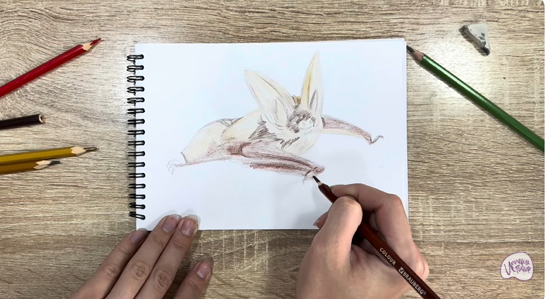 Рисуем Бурый ушан