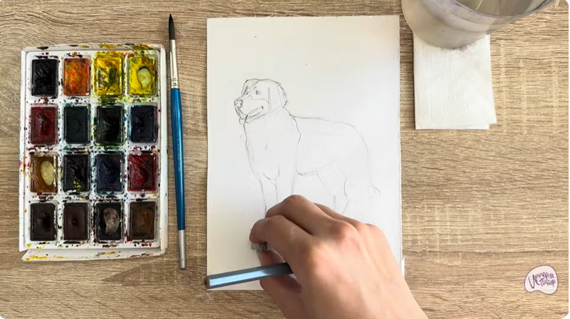 Рисуем Собака породы Бернский зенненхунд