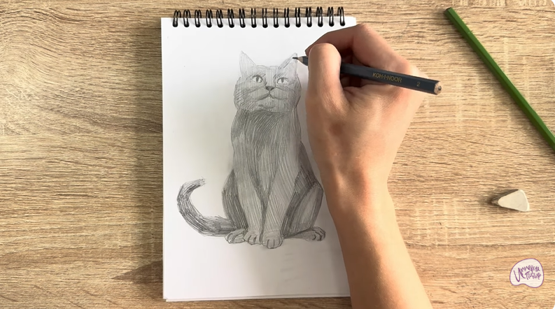 Рисуем Кот породы Шартрез