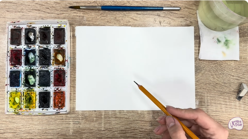 Рисуем Макадамия