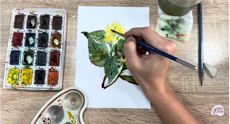 Рисуем Диервилла