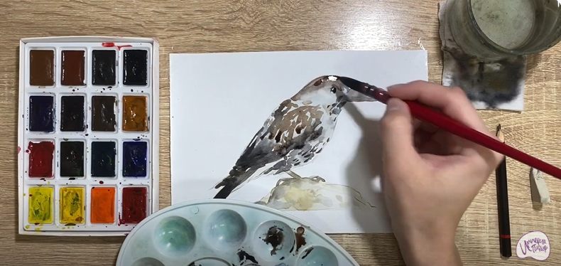 Рисуем Кедровка