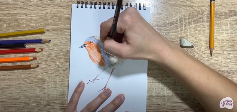 Рисуем Птичка "Зарянка"