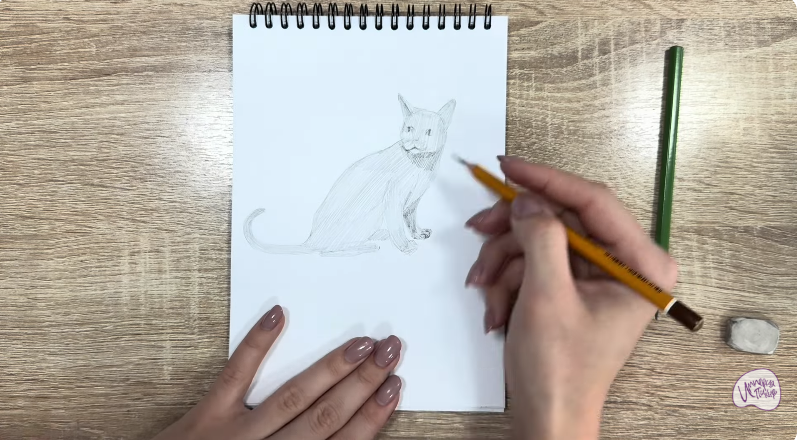 Рисуем Кот породы "Корат"