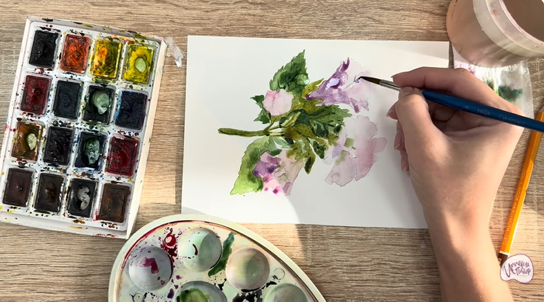 Рисуем Алтей лекарственный