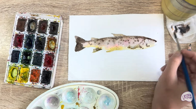 Рисуем Кумжа