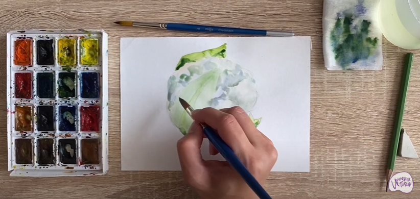 Рисуем Цветная капуста