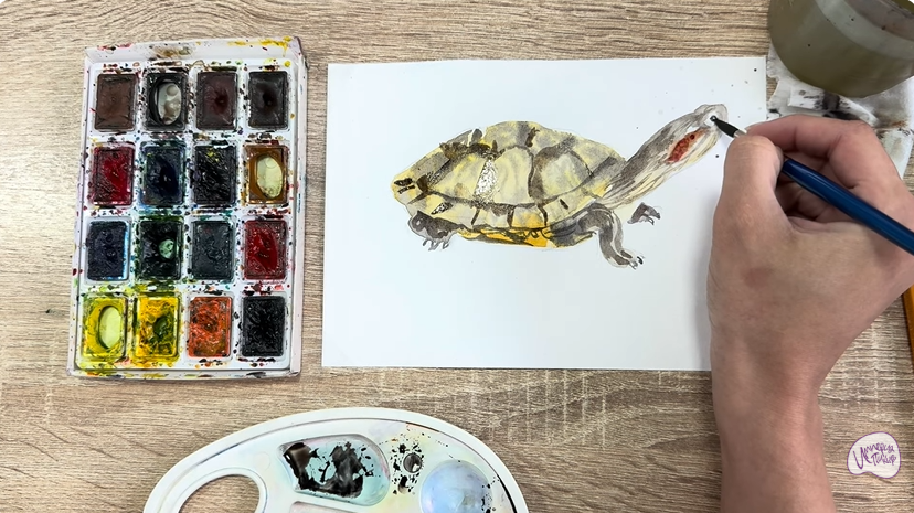 Рисуем Красноухая черепаха