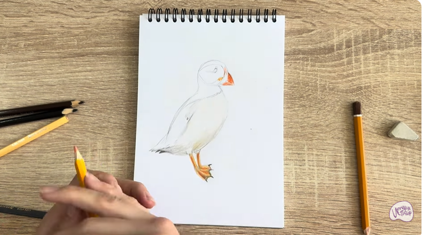 Рисуем Птица тупик