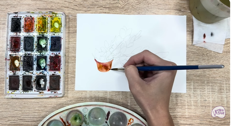 Рисуем Пеллиония в горшке