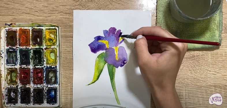 Рисуем Ирис