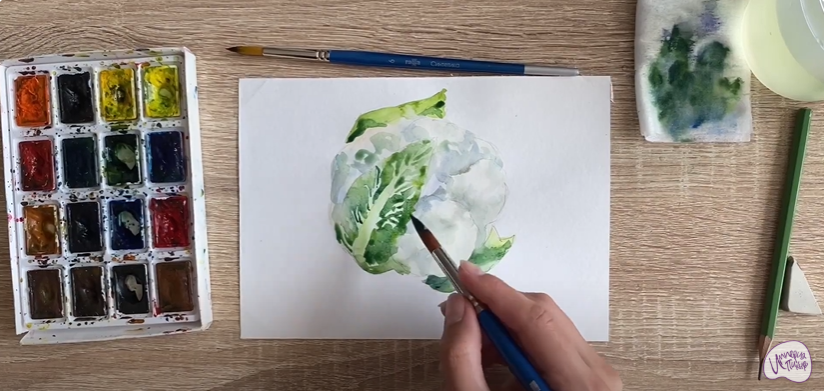 Рисуем Цветная капуста