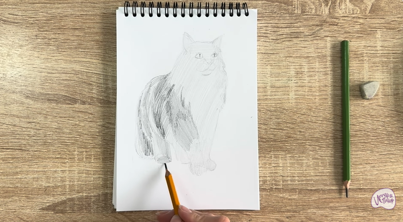 Рисуем Норвежский лесной кот