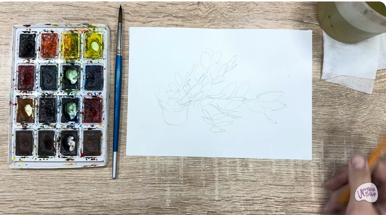 Рисуем Пеллиония в горшке