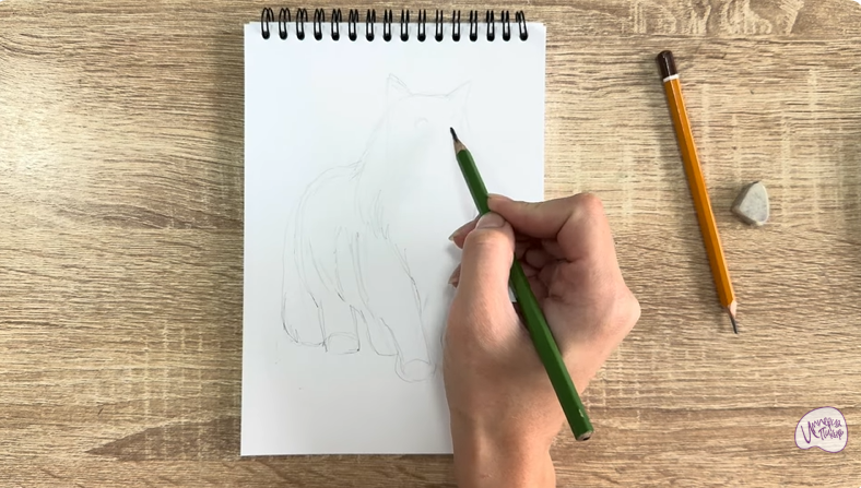 Рисуем Норвежский лесной кот