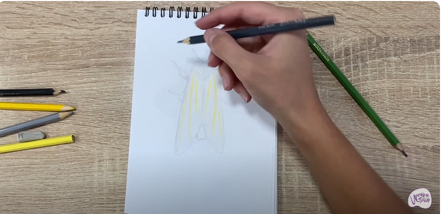 Рисуем Хохлатка