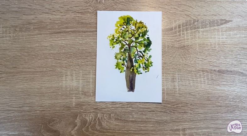 Рисуем Брахихитон