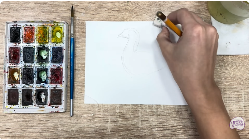 Рисуем Краснозобая казарка