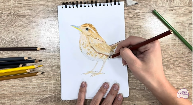 Рисуем Крапивник