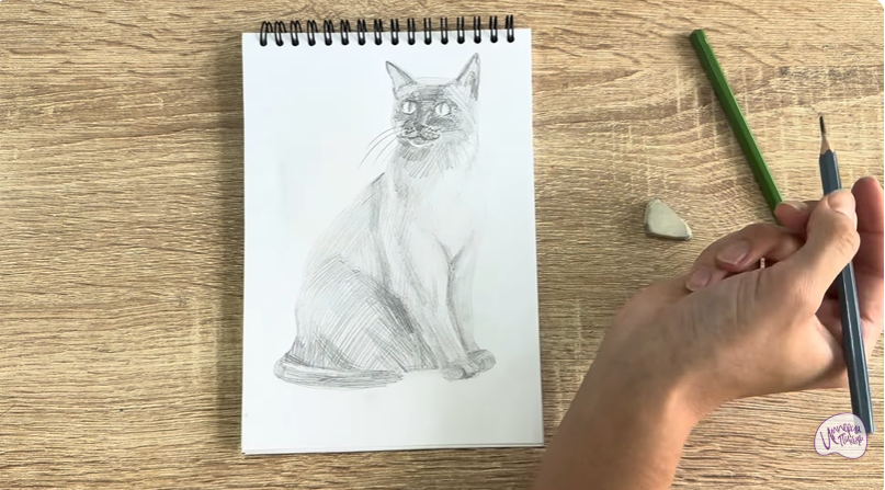 Рисуем Бурманский кот